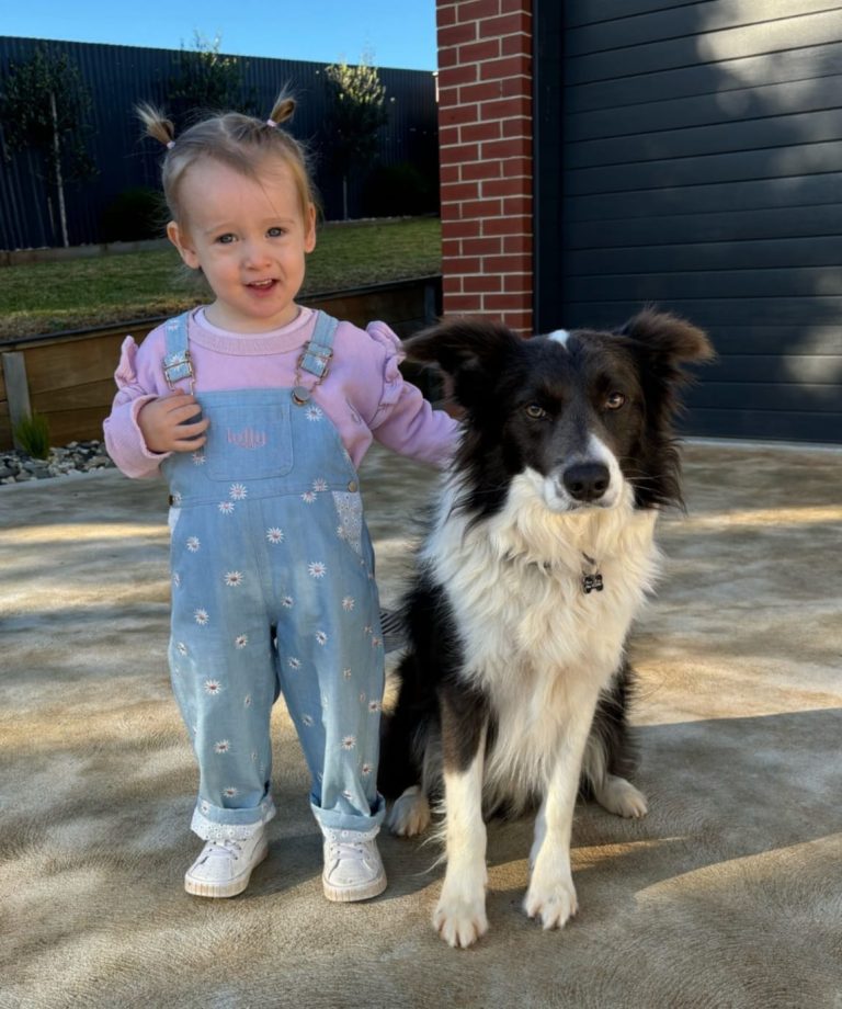 01ed5a62-ae25-4410-9b70-f313c594779f