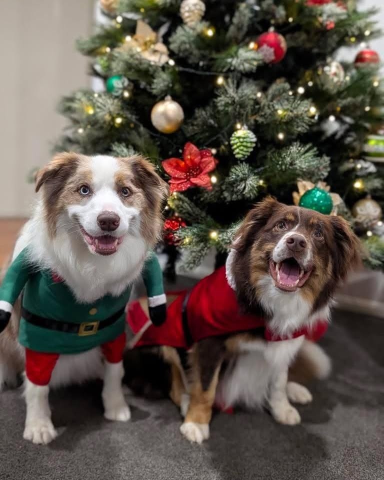 38d9efb9-bc2d-42b0-828b-26902dbb3a94