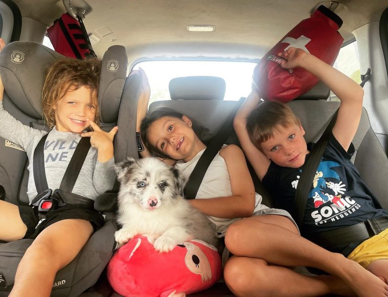 456b9ac5-c3d2-4f00-9f79-0123bffdf176