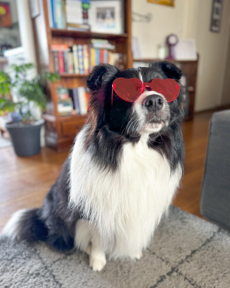 4b71d870-2ed6-4373-a5cf-2e4e5578a0fc