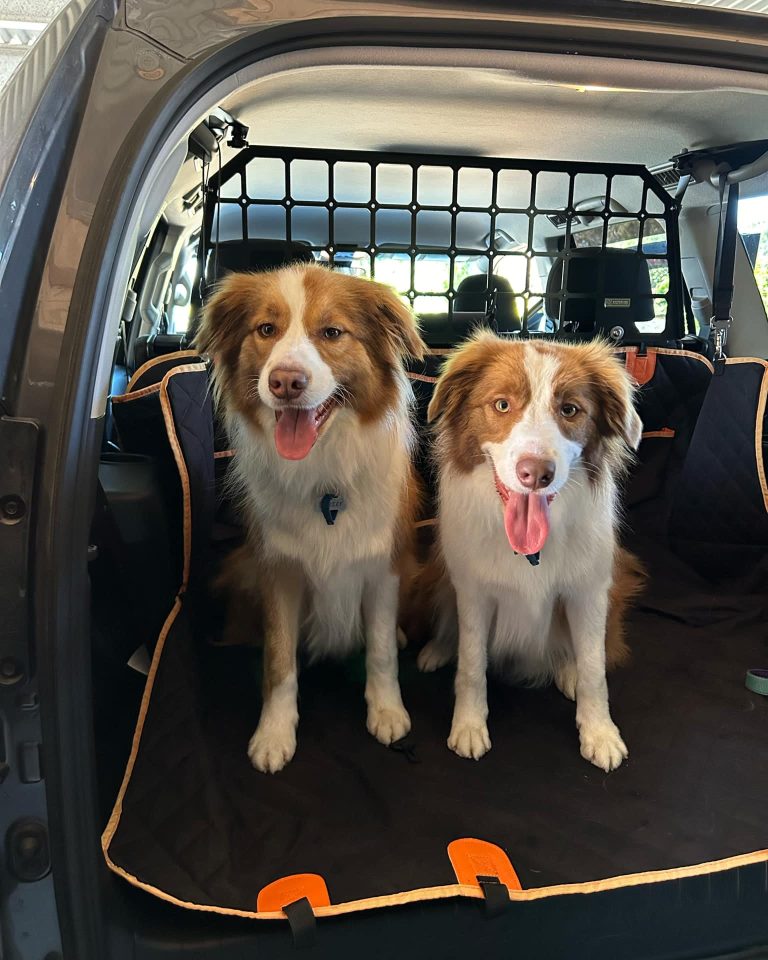 9c0def35-4241-4c79-b266-881fcf7edb6e