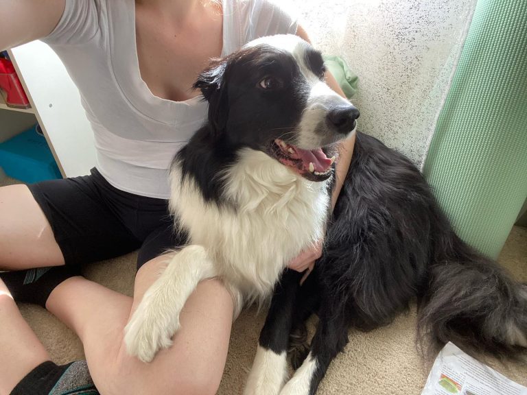 cca29254-04e0-4944-8f2d-4b005a2af556